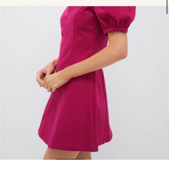 Tuckernuck HYACINTH HOUSE Raspberry Front Zip Denim Mini Dress Sz L NEW - Picture 3 of 14